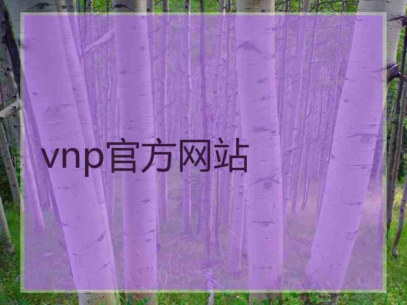 vnp官方网站