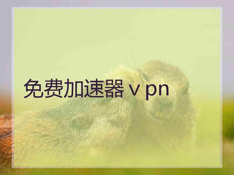 免费加速器ⅴpn