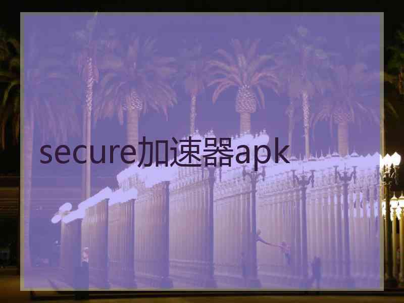 secure加速器apk