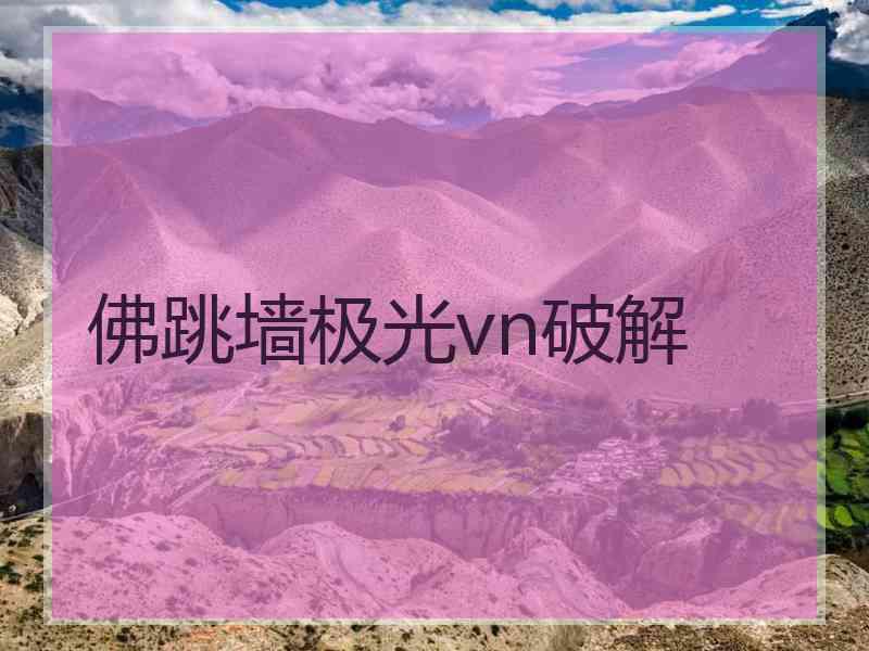 佛跳墙极光vn破解