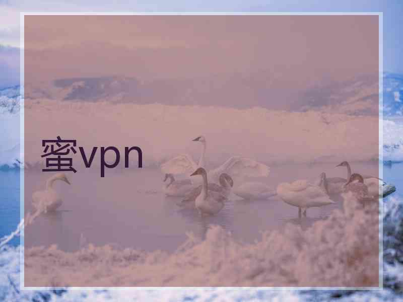 蜜vpn