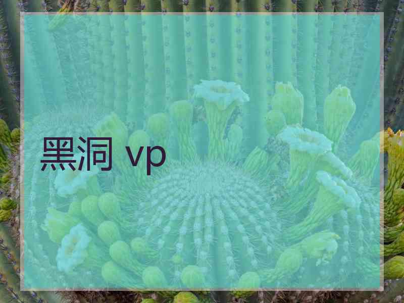 黑洞 vp