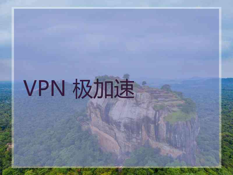 VPN 极加速