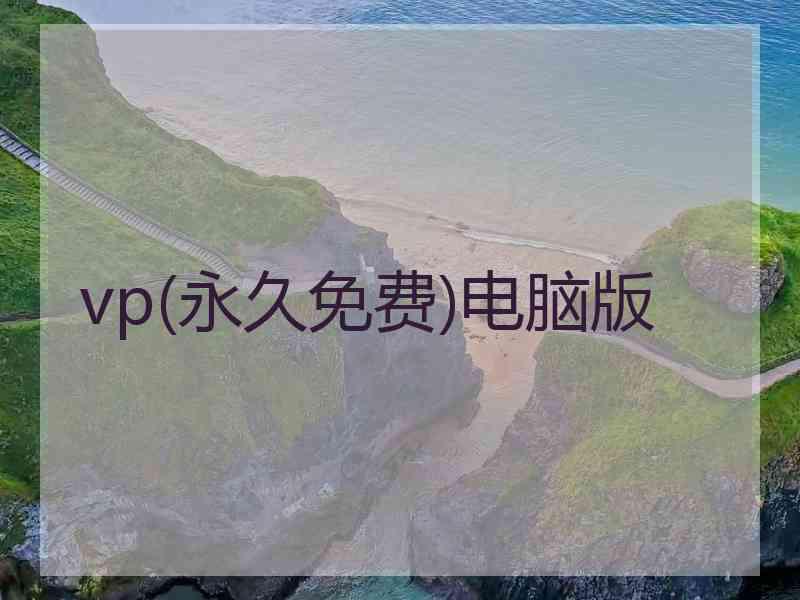 vp(永久免费)电脑版