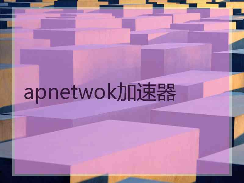 apnetwok加速器