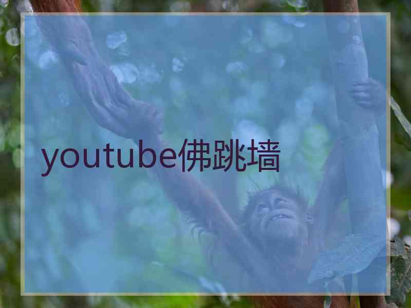 youtube佛跳墙