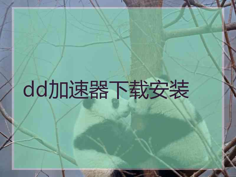 dd加速器下载安装