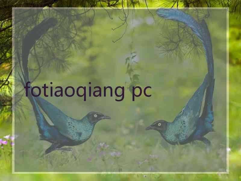 fotiaoqiang pc