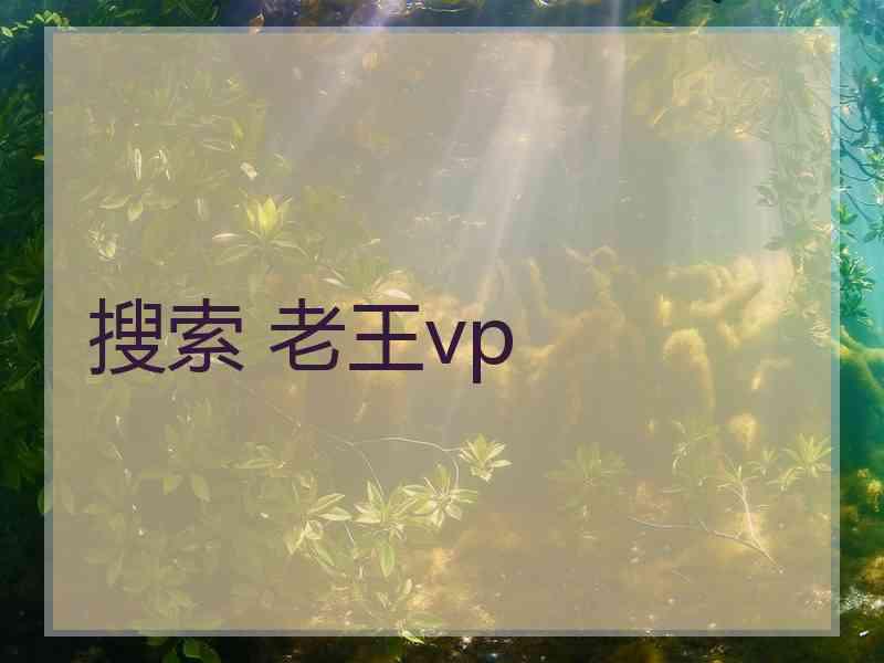 搜索 老王vp