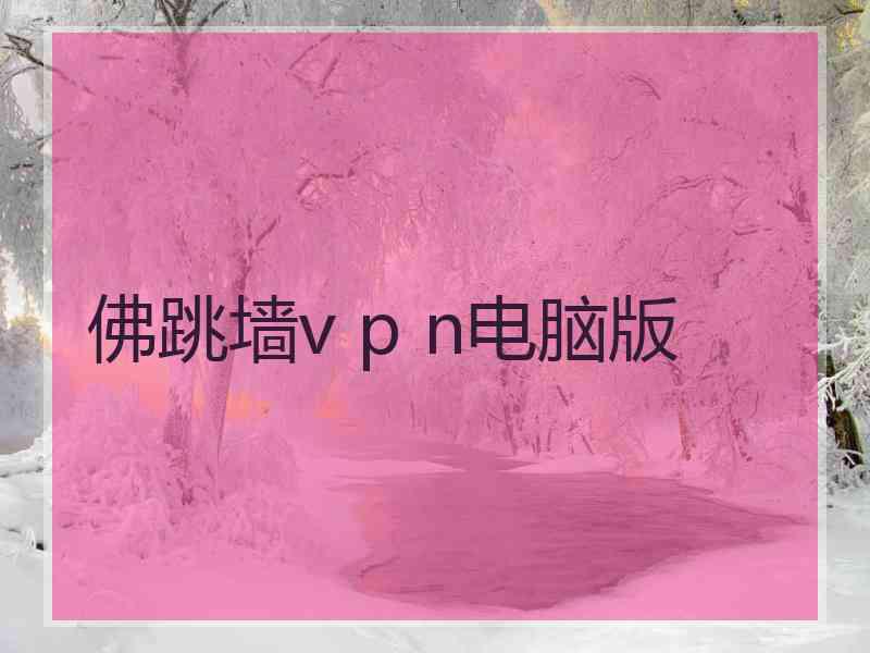 佛跳墙v p n电脑版