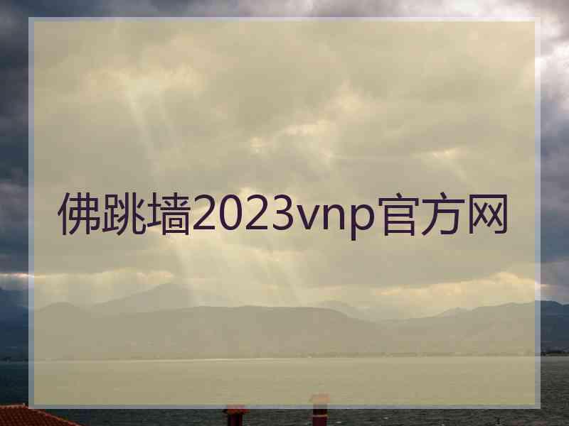 佛跳墙2023vnp官方网