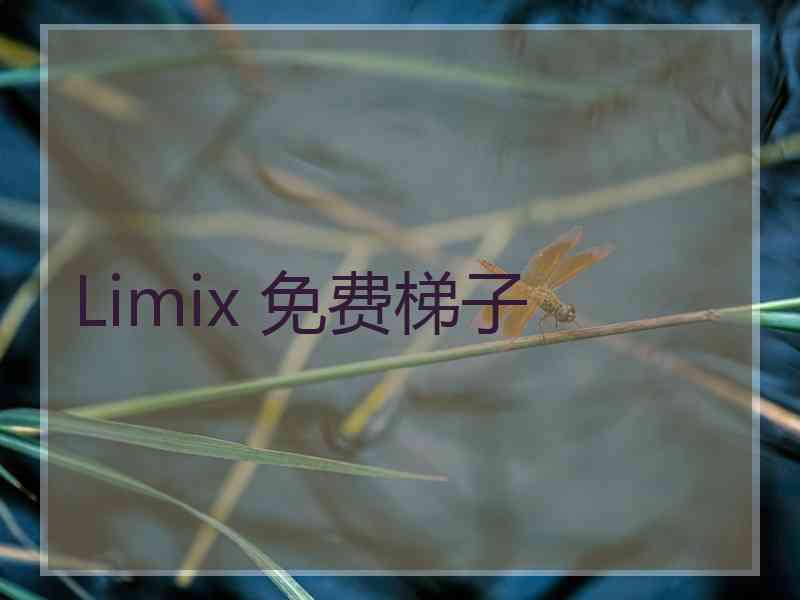 Limix 免费梯子