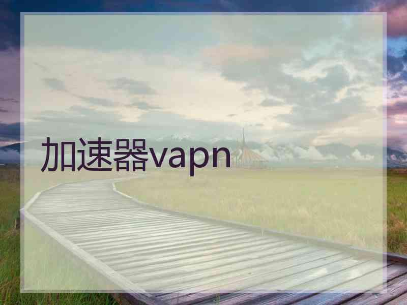 加速器vapn