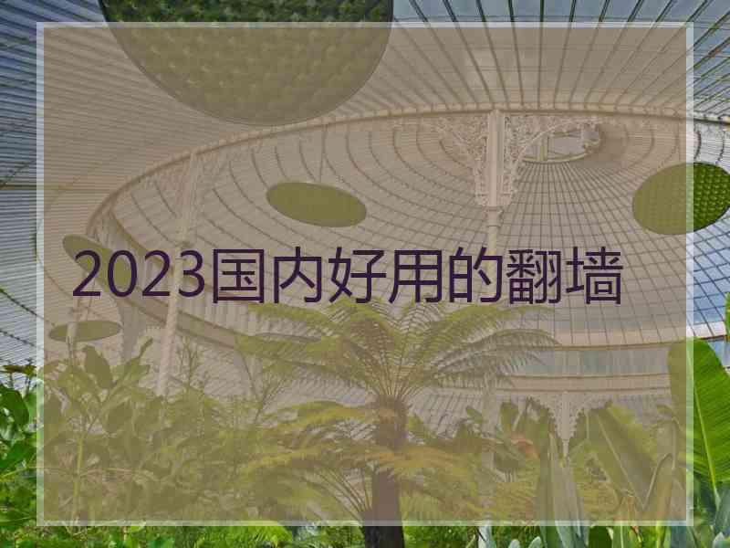 2023国内好用的翻墙