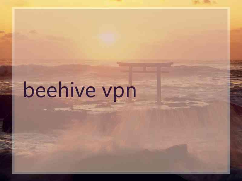 beehive vpn