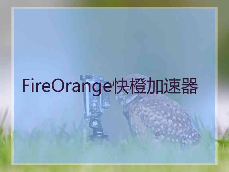 FireOrange快橙加速器