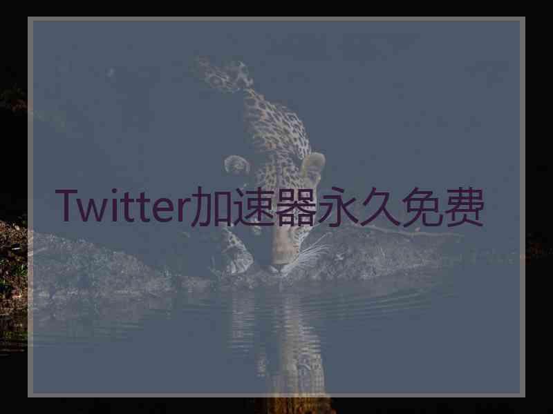 Twitter加速器永久免费