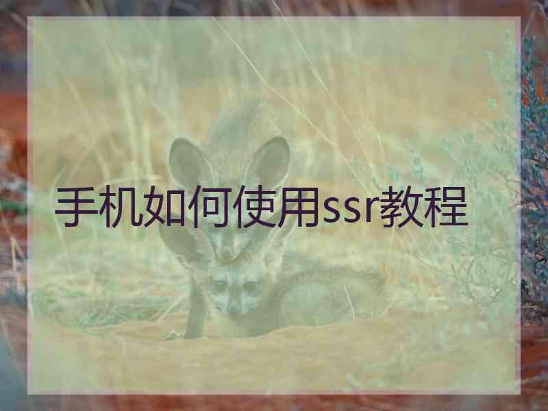 手机如何使用ssr教程