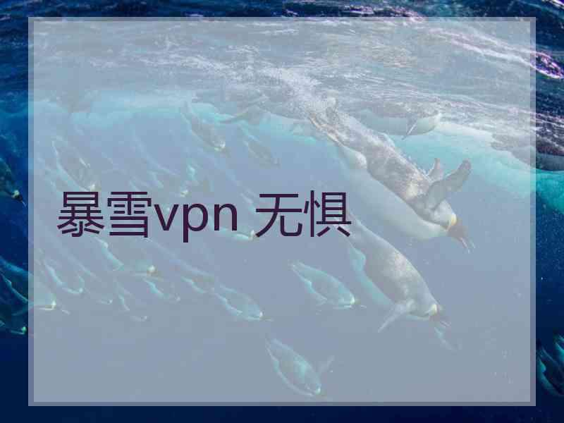 暴雪vpn 无惧