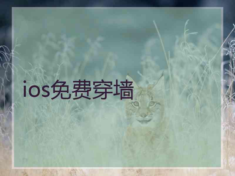 ios免费穿墙