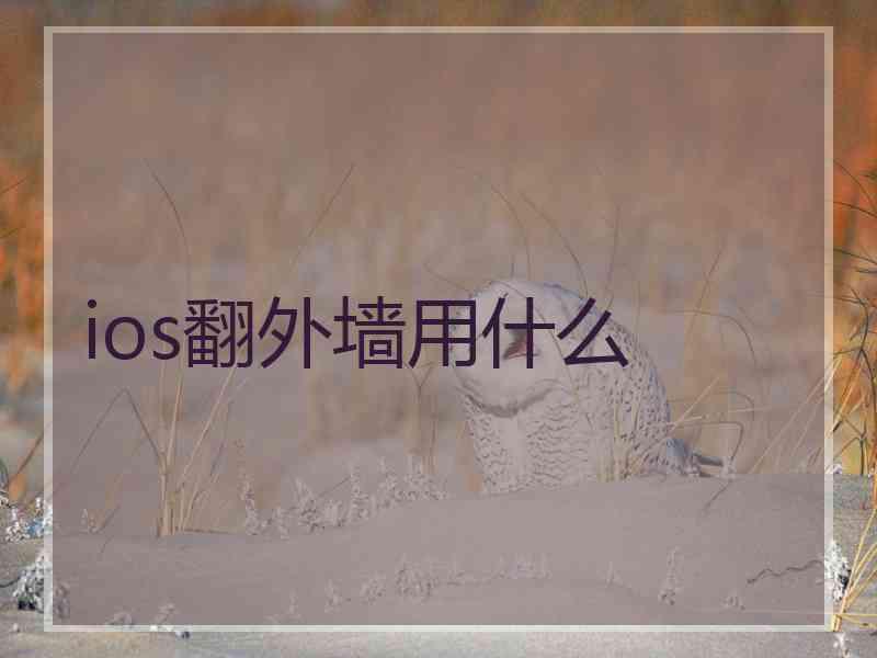 ios翻外墙用什么