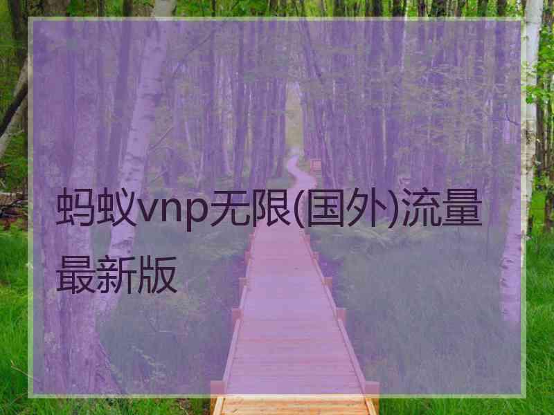 蚂蚁vnp无限(国外)流量最新版