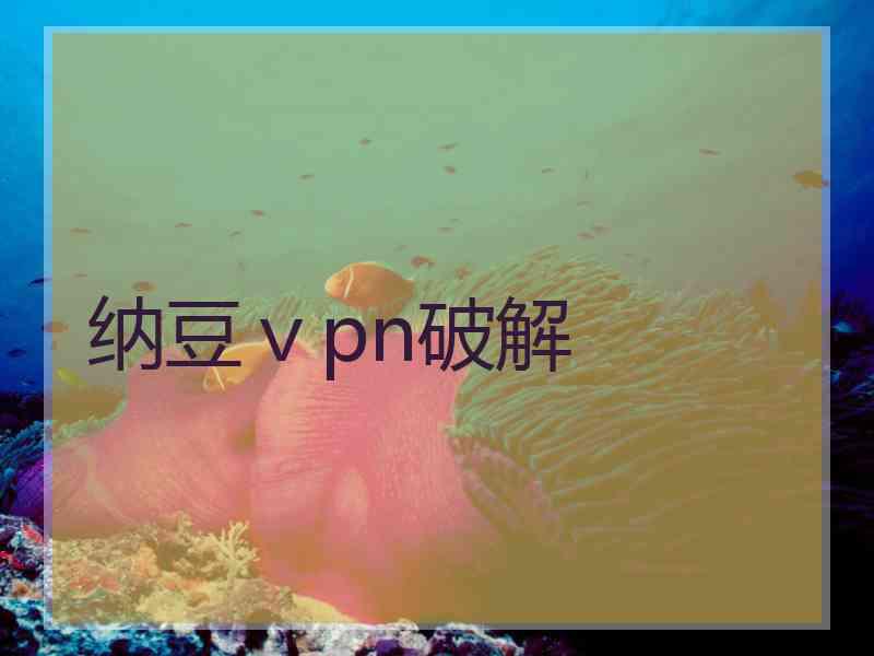 纳豆ⅴpn破解