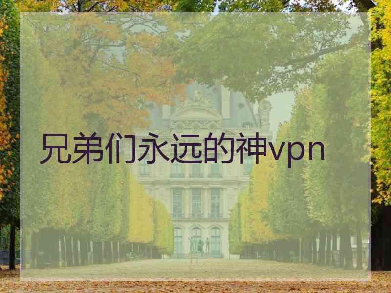 兄弟们永远的神vpn