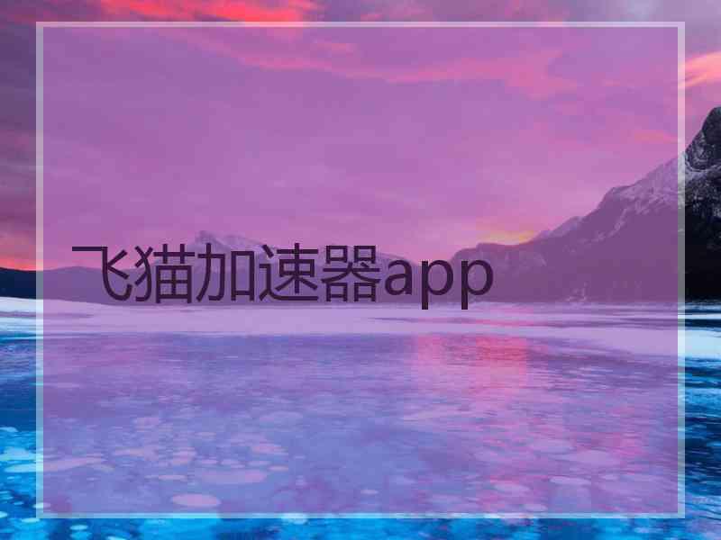 飞猫加速器app