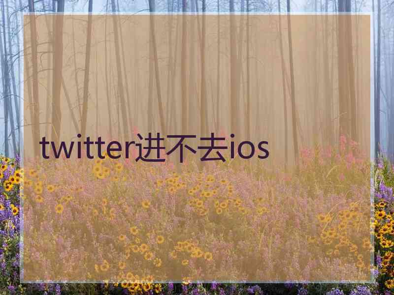 twitter进不去ios