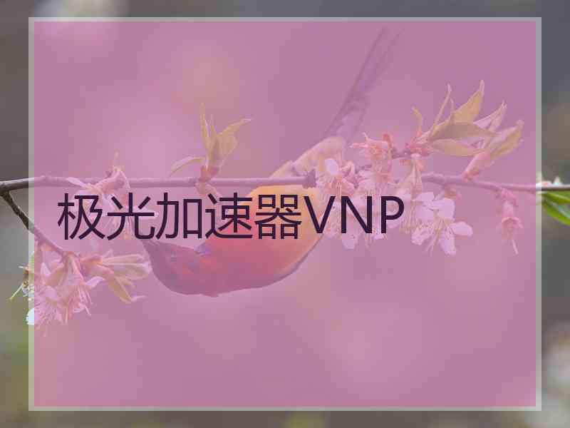 极光加速器VNP