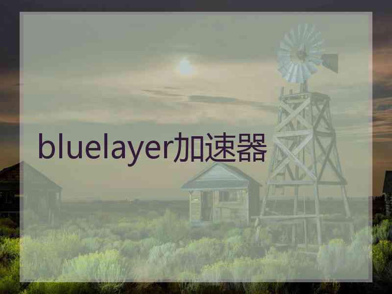 bluelayer加速器