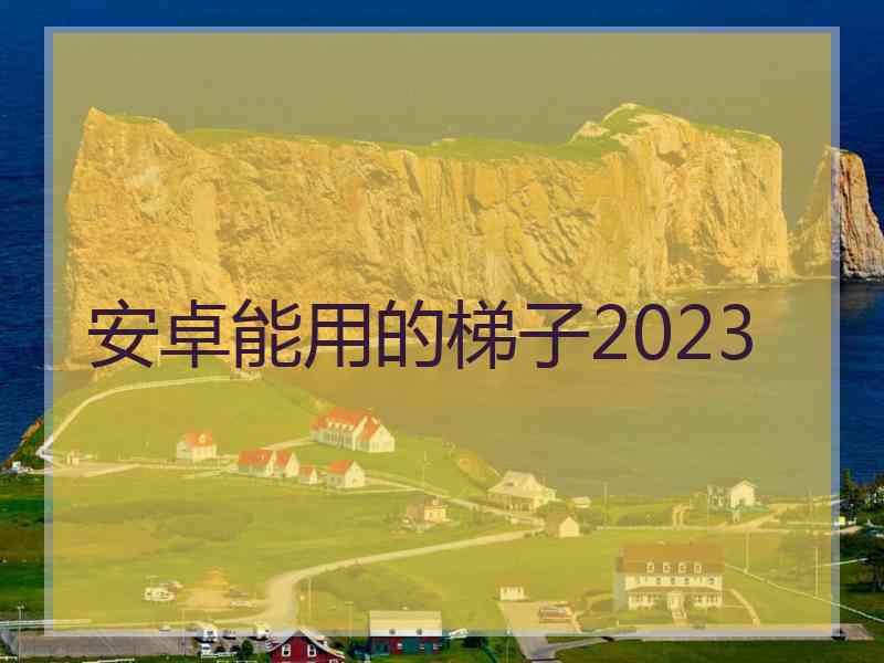 安卓能用的梯子2023