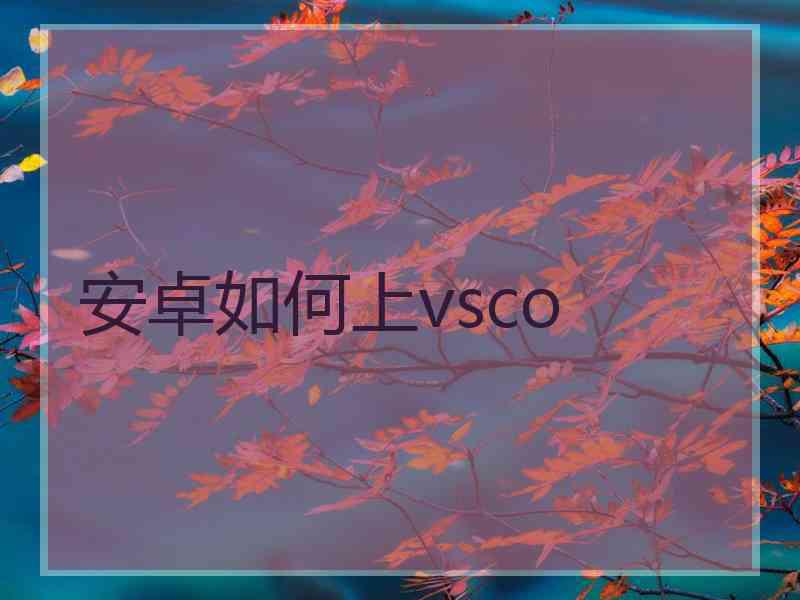 安卓如何上vsco