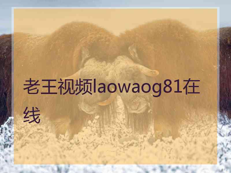 老王视频laowaog81在线