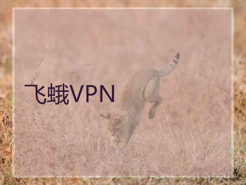 飞蛾VPN