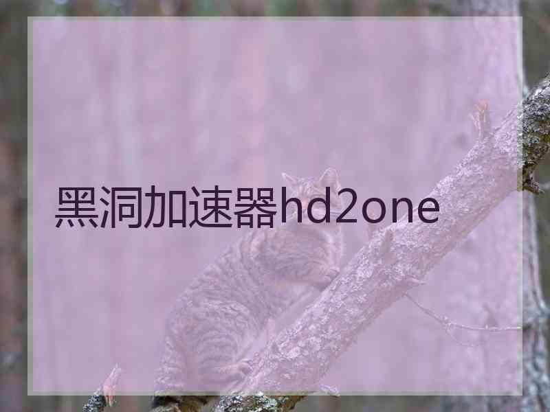 黑洞加速器hd2one