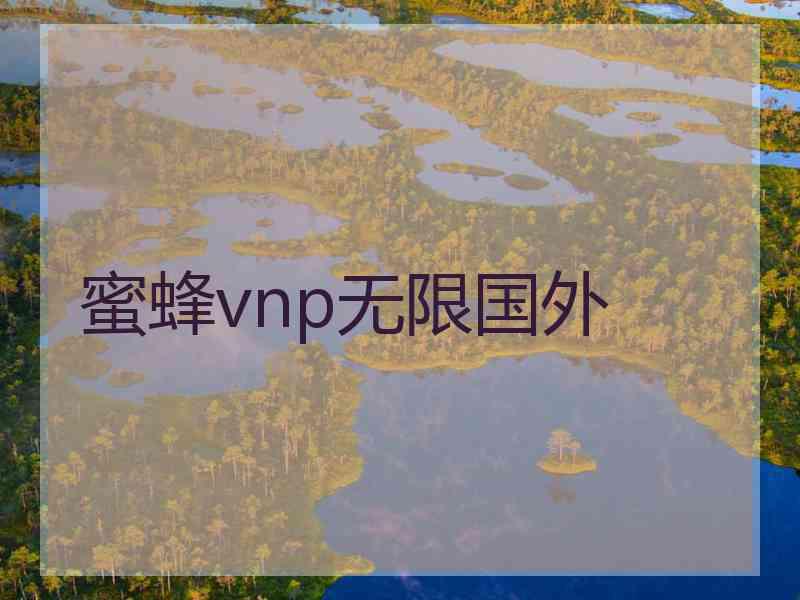 蜜蜂vnp无限国外