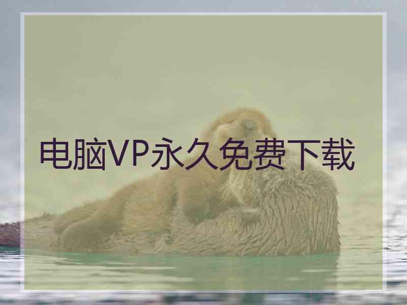 电脑VP永久免费下载