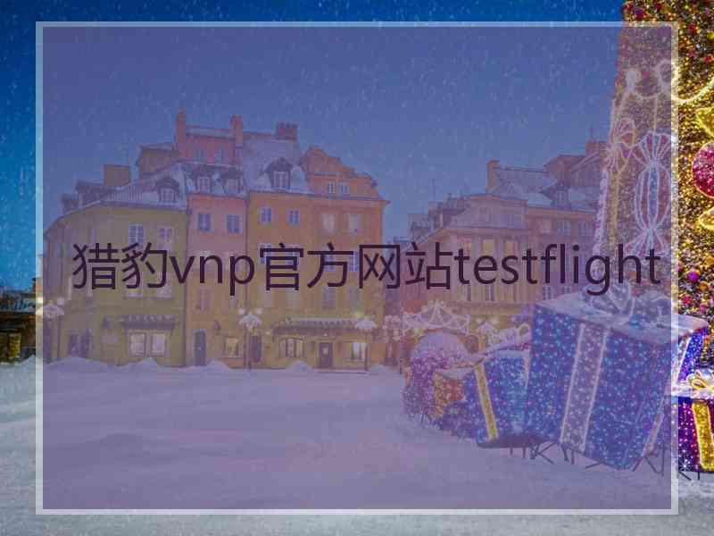 猎豹vnp官方网站testflight