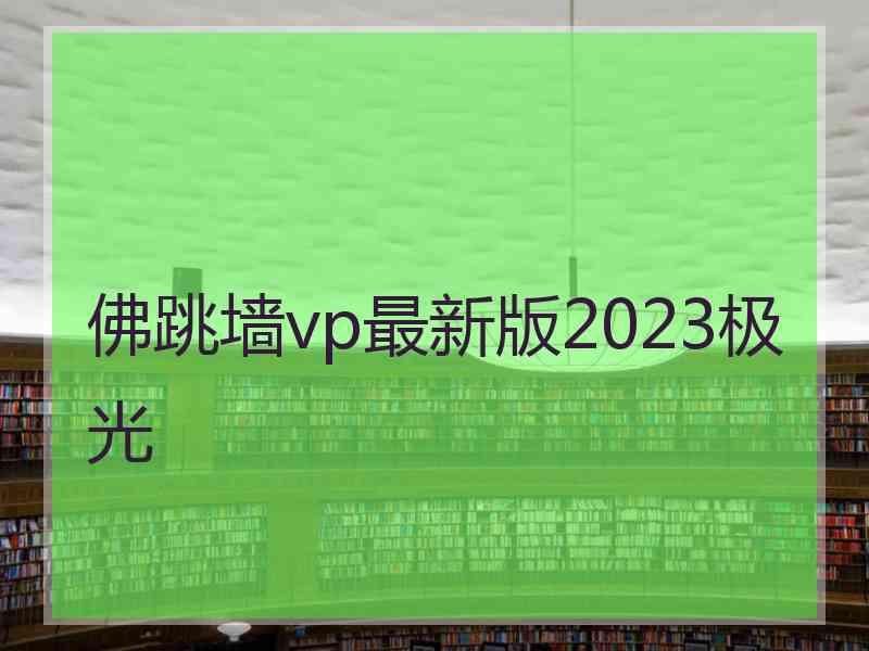 佛跳墙vp最新版2023极光