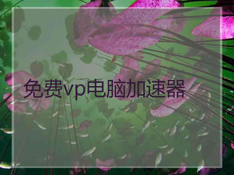 免费vp电脑加速器