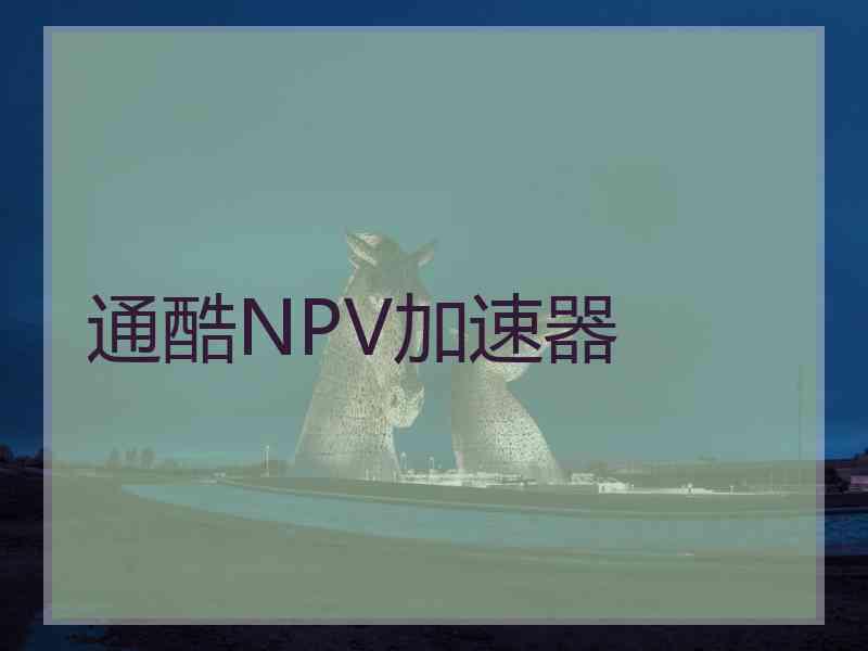 通酷NPV加速器