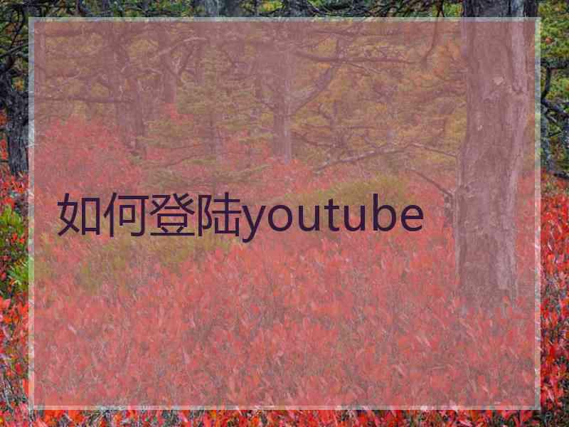 如何登陆youtube