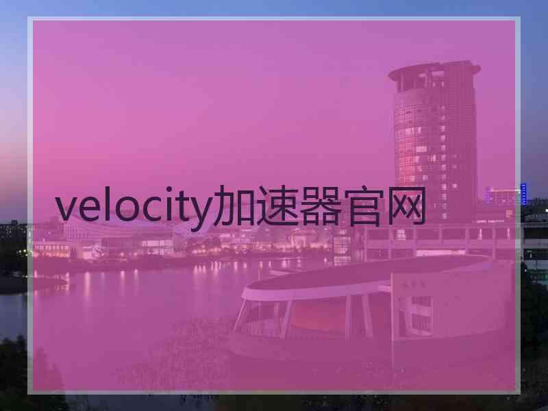 velocity加速器官网