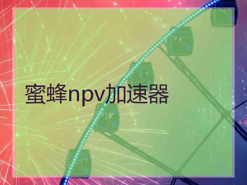 蜜蜂npv加速器