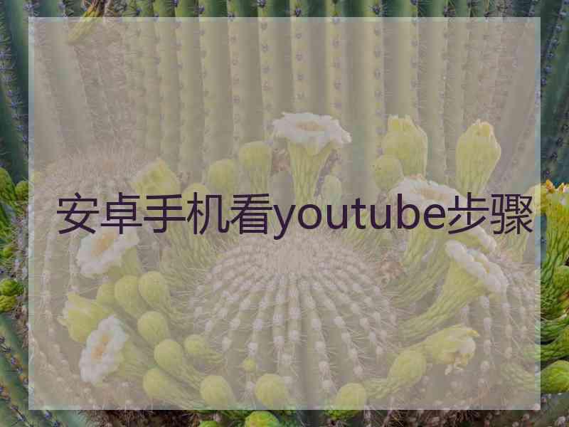 安卓手机看youtube步骤