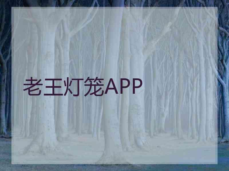 老王灯笼APP