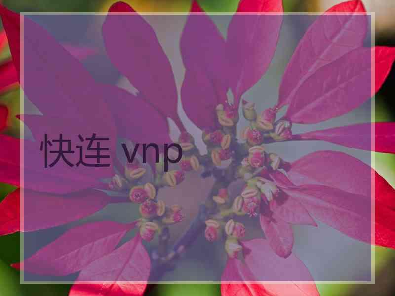 快连 vnp