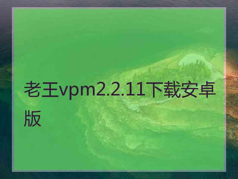 老王vpm2.2.11下载安卓版